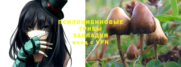 шишки Алексеевка